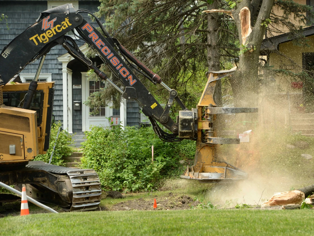 Cst 85691 tree cutting Cleveland 1 jpg